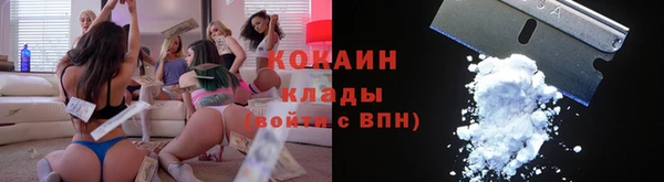 шишки Абаза