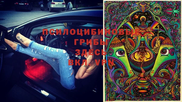 мдпв Абинск