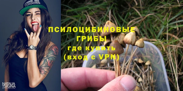 шишки Абаза