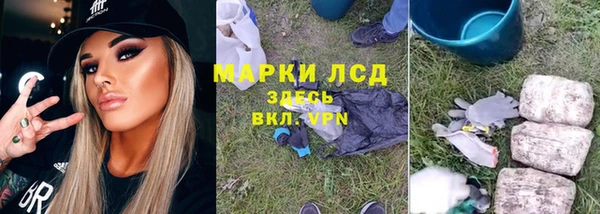 шишки Абаза