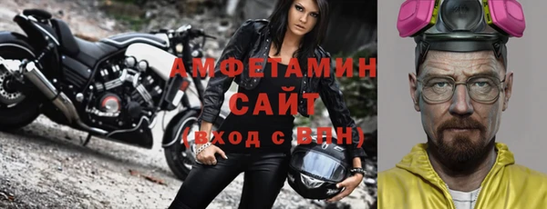 шишки Абаза