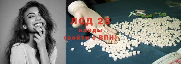шишки Абаза